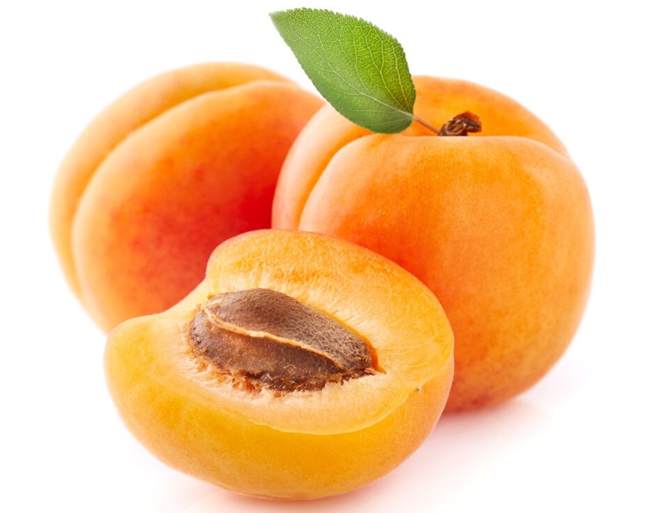 Самогон из свежих абрикосов